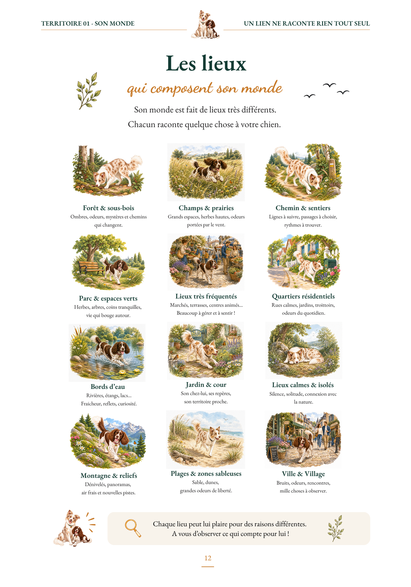 Page de The Happiness Map sur les environnements à explorer avec son chien