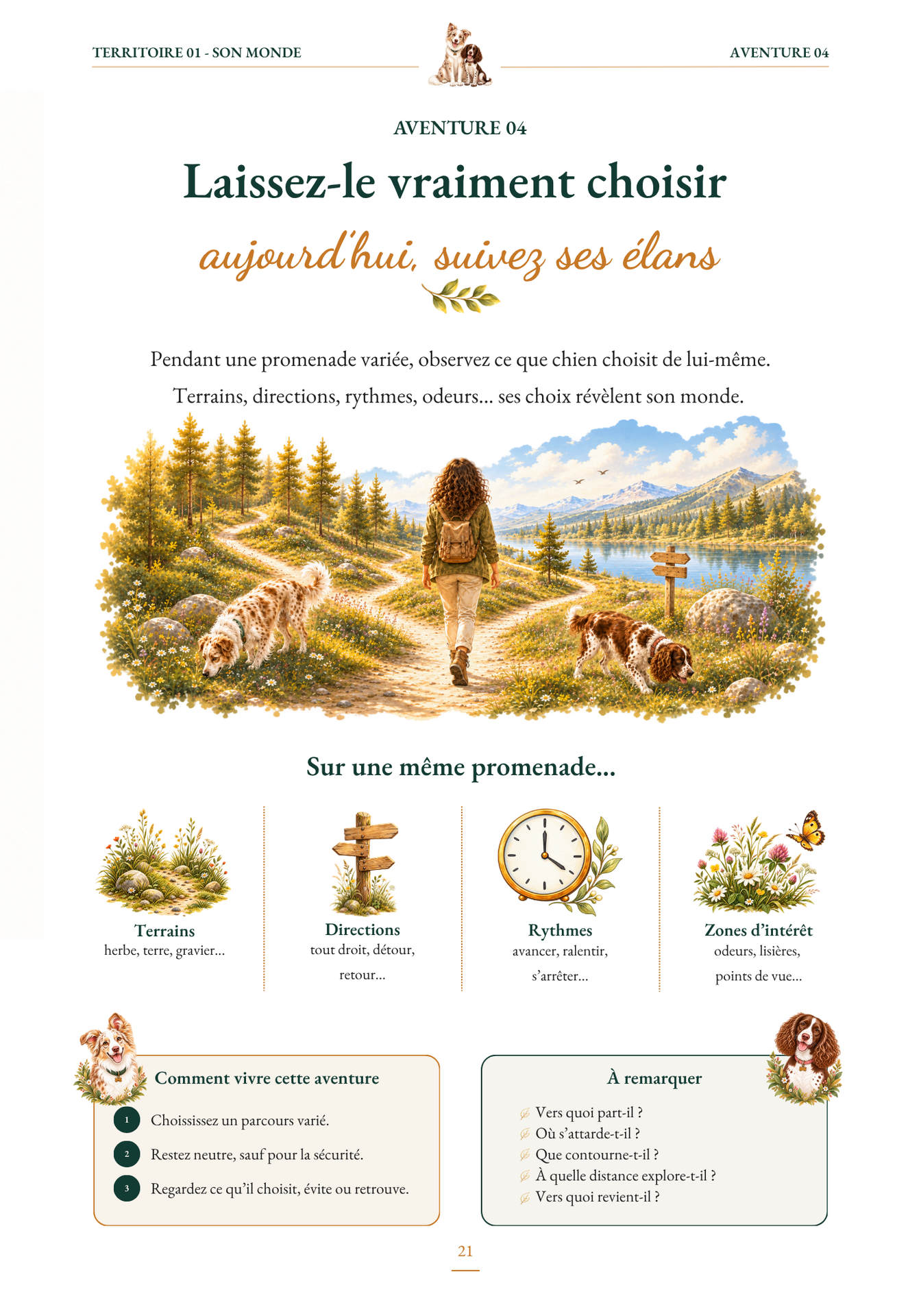 Page d’aventure de The Happiness Map pour observer les choix de son chien